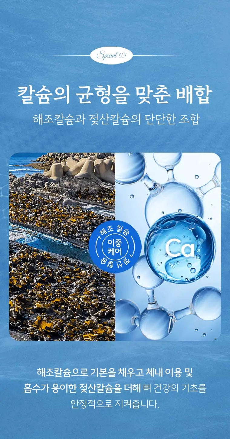 호관원 배경화면 이미지